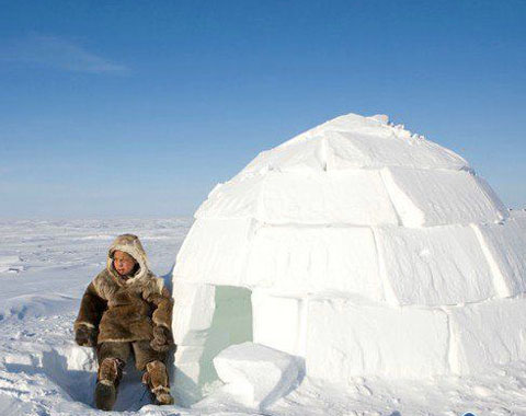 在北极生活需要使用冰箱吗