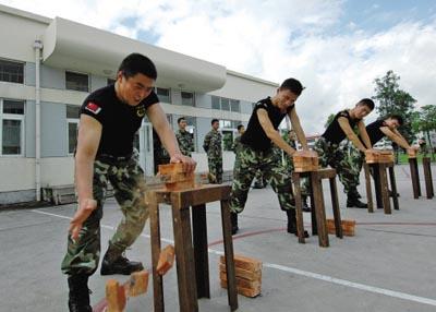 为什么练空手道的人可以徒手劈砖