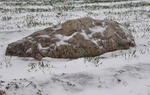 中国最矮的山 距离地面只有0.6米高