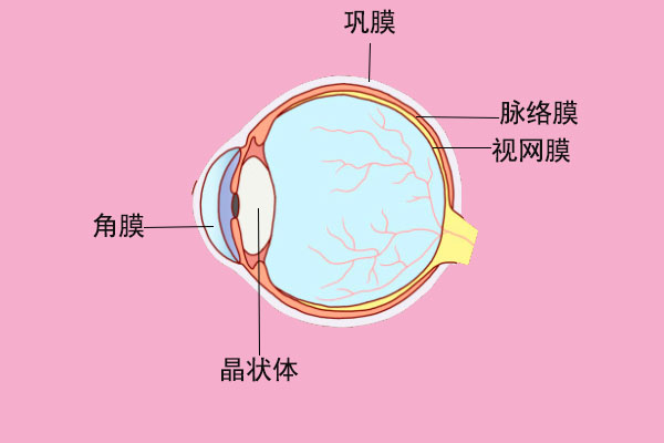 色盲形成的原因是什么