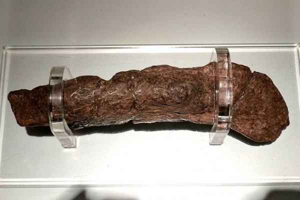 世界上最贵的十大“粪便”_劳埃德银行粪化石