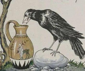 【辟谣】乌鸦往瓶子里丢石子喝水是真的吗