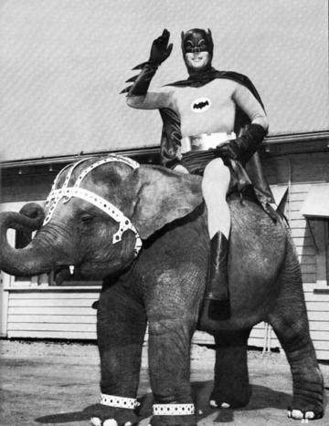1967年，骑大象的蝙蝠侠