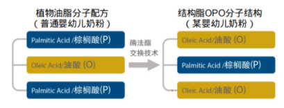 奶粉和母乳的区别是什么 奶粉可以代替母乳吗