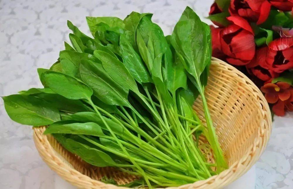 为什么有的菠菜好吃有的涩