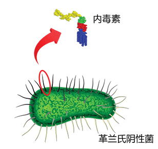 为什么农场长大的孩子不容易过敏