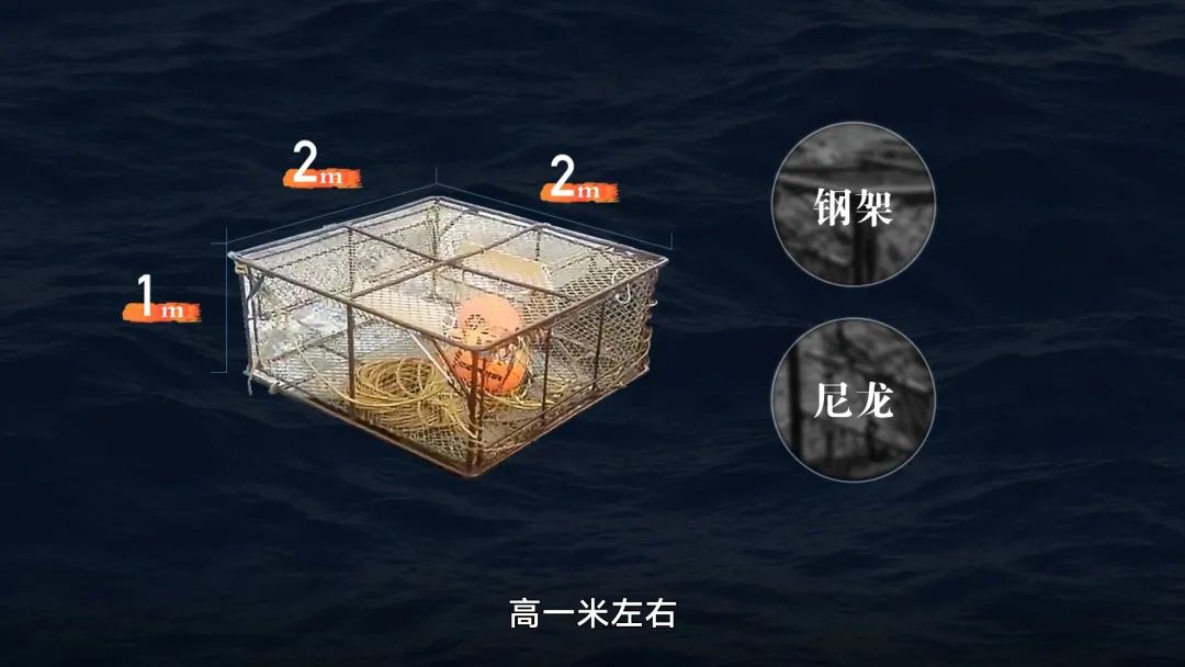 帝王蟹到底为什么这么贵