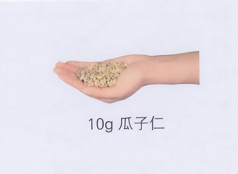 【辟谣】吃一把瓜子等于喝一勺油吗