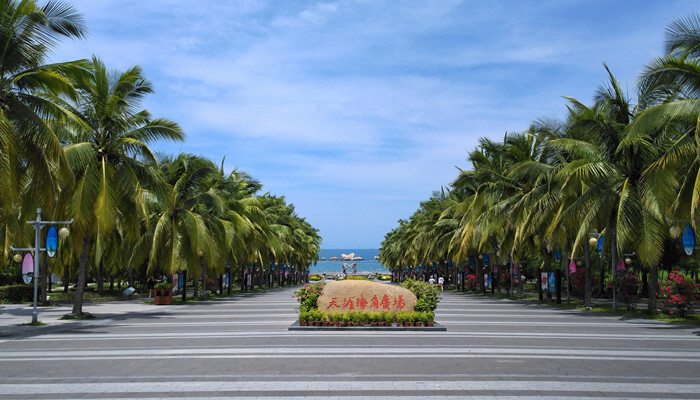 海南属于热带还是亚热带呢