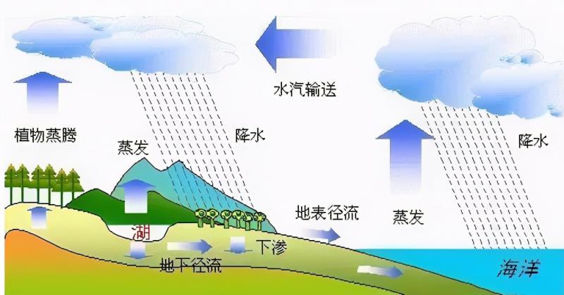 绝对湿度和相对湿度的区别是什么