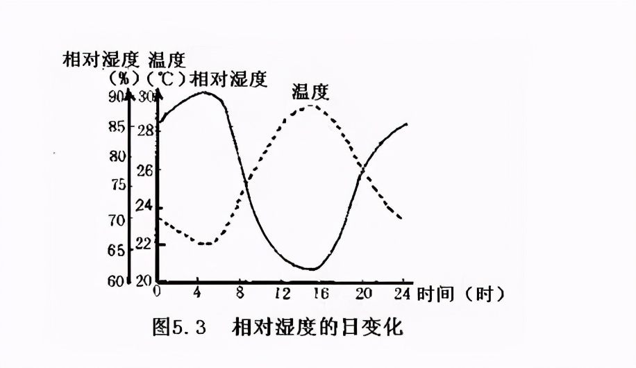 绝对湿度和相对湿度的区别是什么