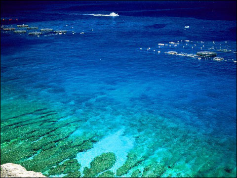 珊瑚海：世界上最大的海