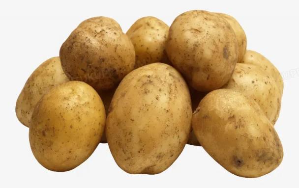 马铃薯除了土豆还有哪些称呼