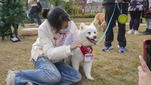 狗狗也能当医生