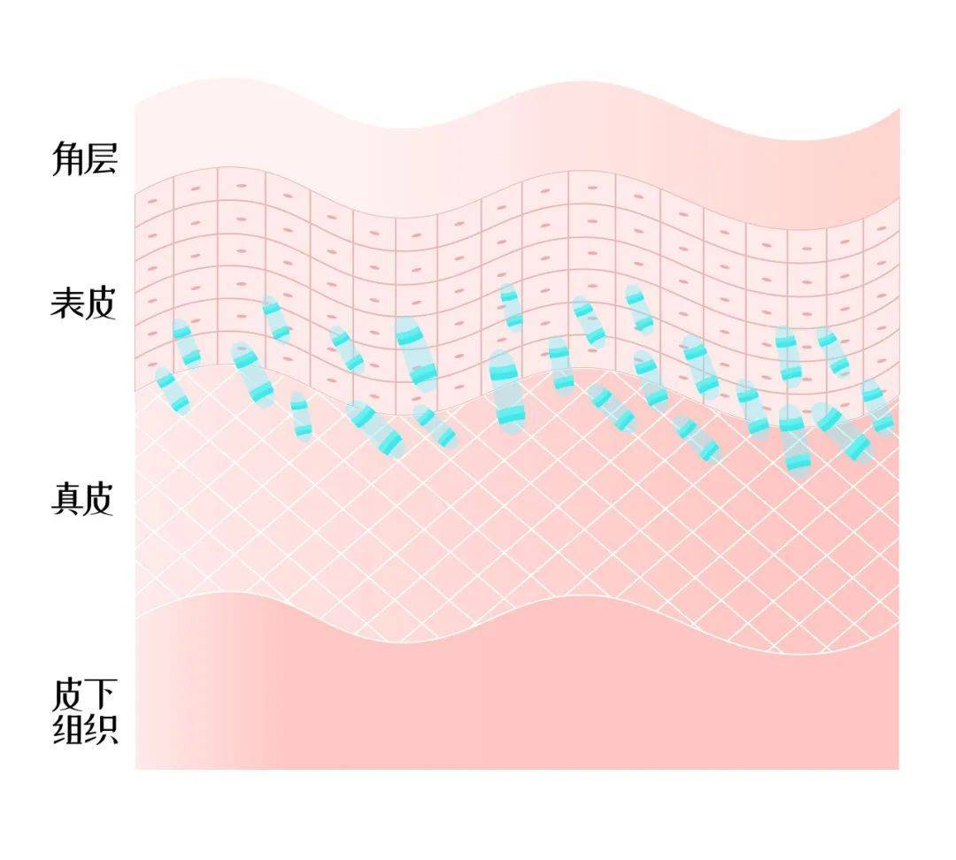 为了让肚子不被撑破 你知道肚皮有多努力吗