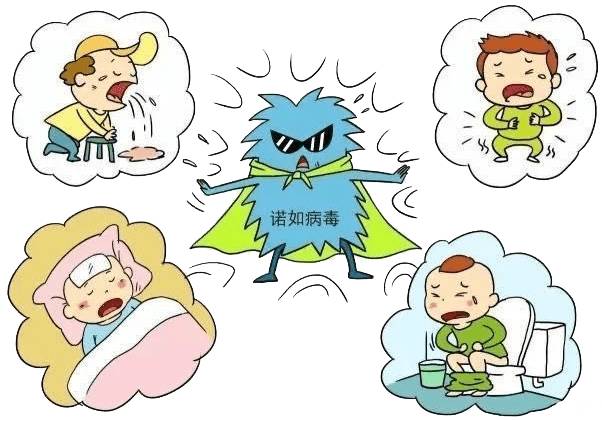 【辟谣】酒精和免冲洗洗手液可以灭活诺如病毒吗