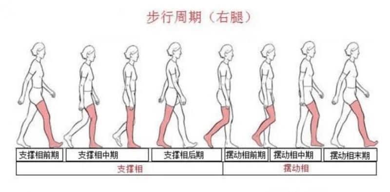 你会正确走路吗