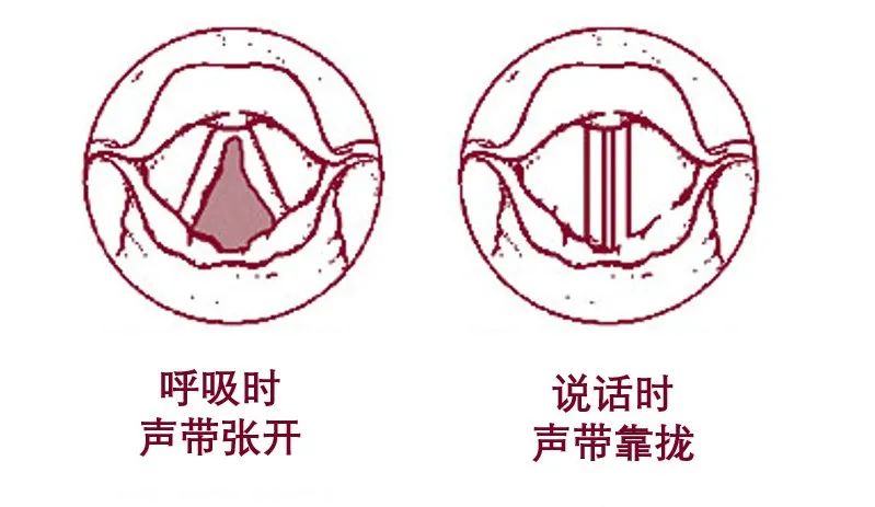 为什么会一觉醒来嗓子哑了