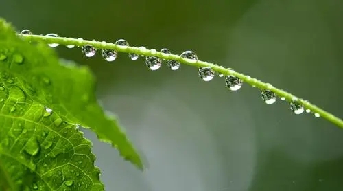 雨滴的速度是不变的吗