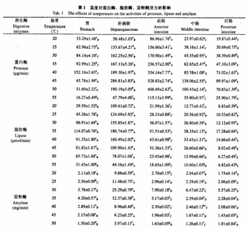 “北极鲶鱼”是什么鱼